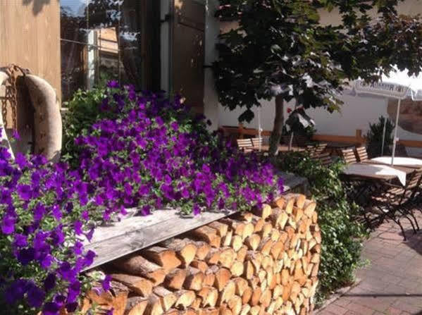 Hotel Restaurant Fruehlingsgarten Füssen Dış mekan fotoğraf